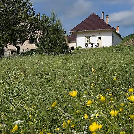 Casa vacanze Huize Zwaluw - Lastovicka *