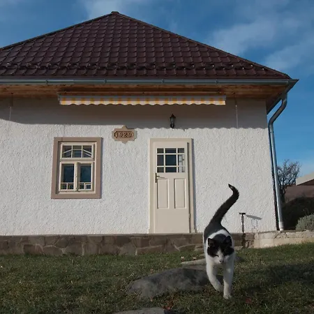 Casa vacanze Huize Zwaluw - Lastovicka